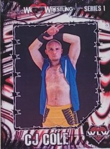 2025 We Love Wrestling Series 1