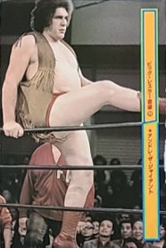 1980-1981 BBM Magazine Inserts (Japan)