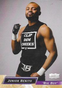 2025 Mystery Wrestling